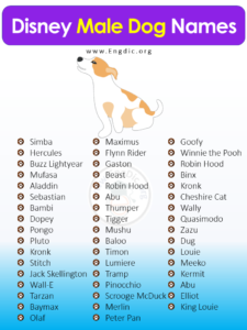 300+ Magical Disney Dog Names (Boy, Girl, Pups) - EngDic