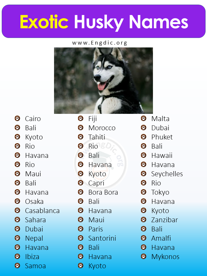 Exotic Husky Names