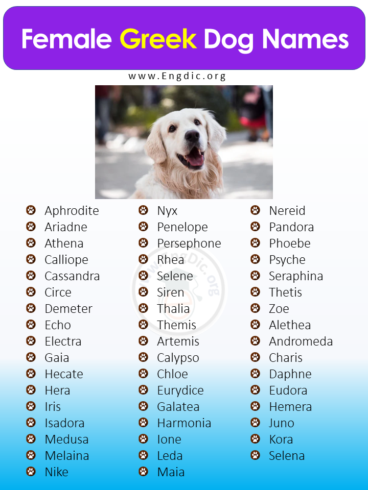 Female Greek Dog Names