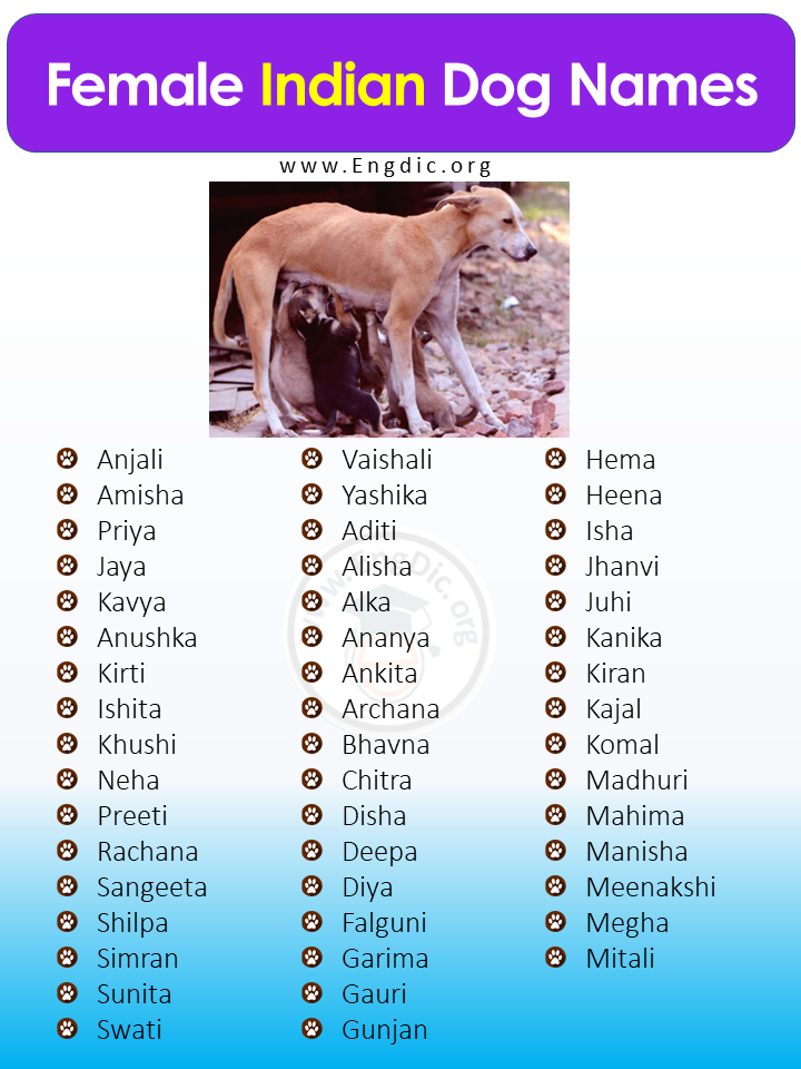 Female Indian Dog Names