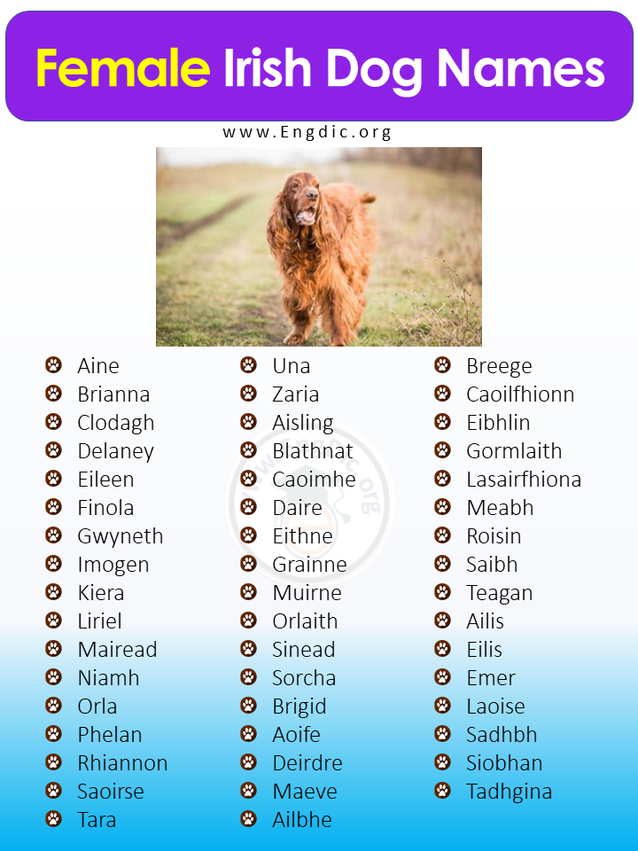 Female Irish Dog Names