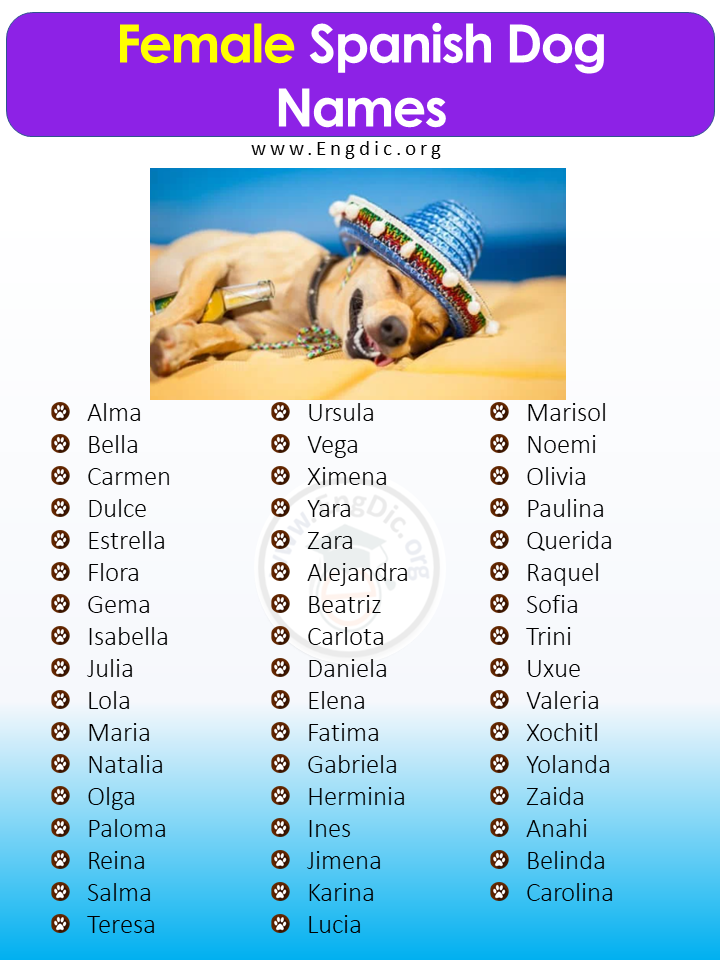 200 Most Popular Spanish Dog Names Male Female EngDic