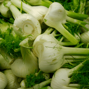 Fennel greens