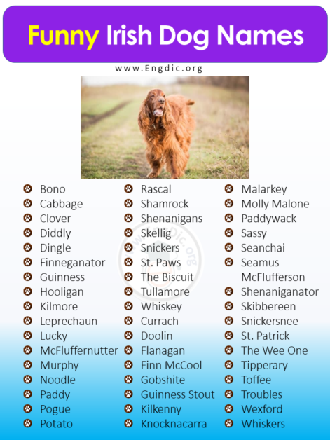 200+ Irish Dog Names (Male, Female, Pups) With Meanings - EngDic