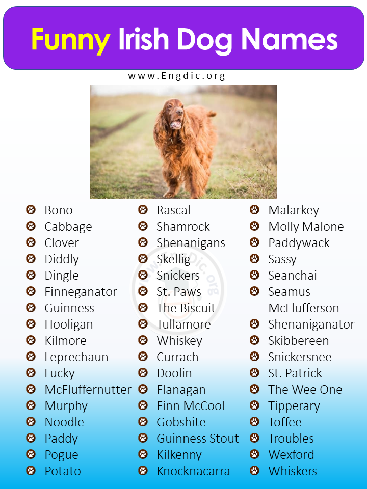 Funny Irish Dog Names