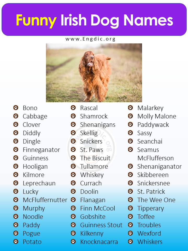 Funny Indian Dog Names Male Hotsell Cityofclovis