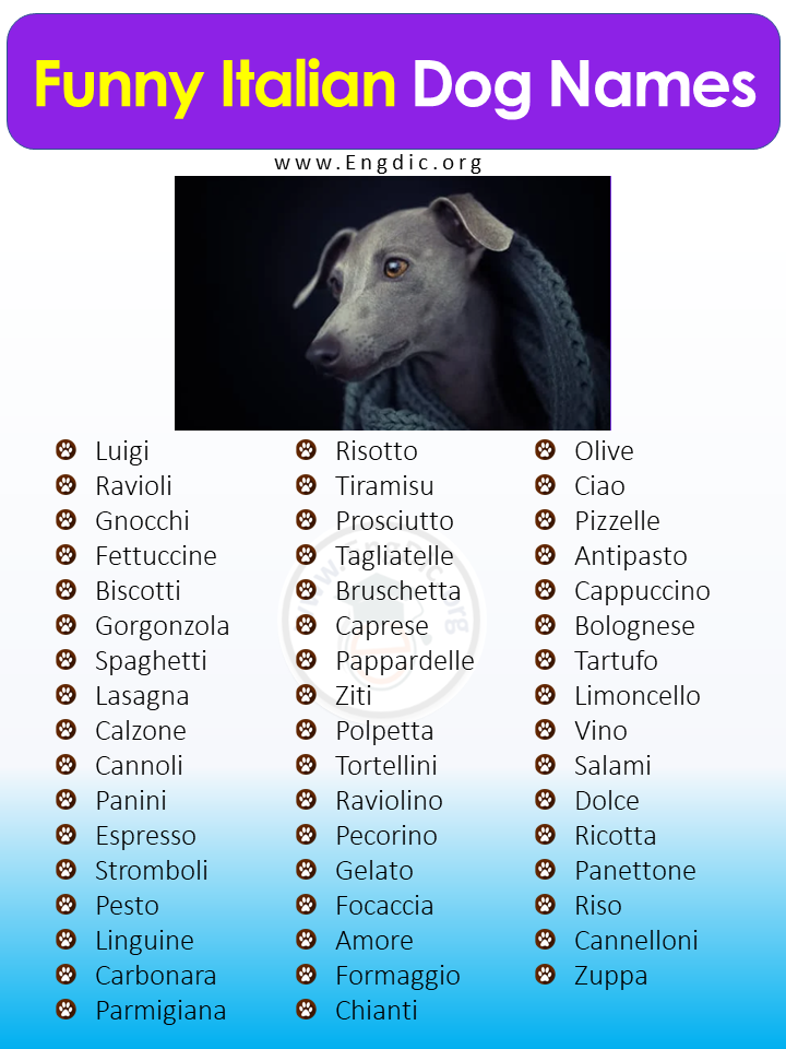 Funny Italian Dog Names