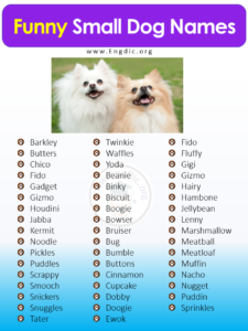 400+ Cutest Small Dog Names (Male, Female) - EngDic