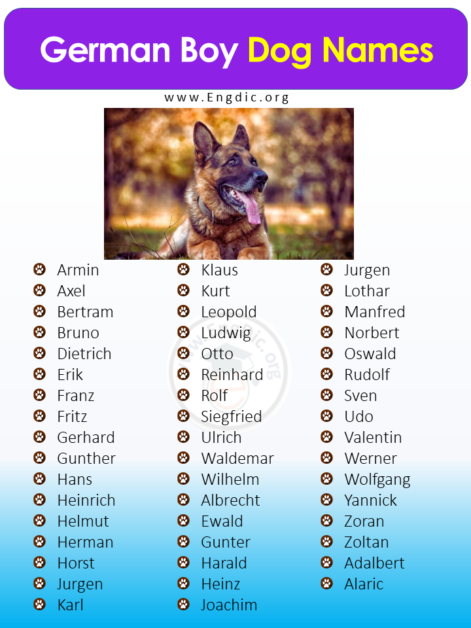 500-popular-german-dog-names-pups-male-female-engdic