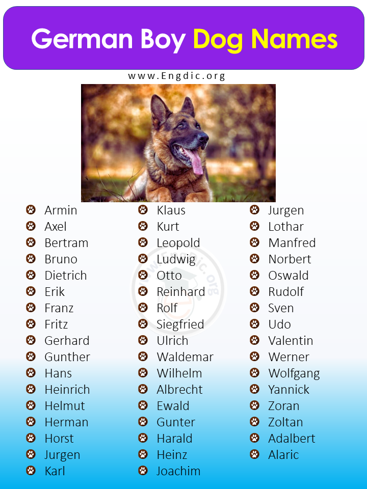 German Boy Dog Names