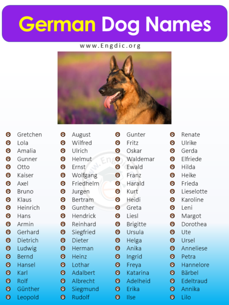 500+ Popular German Dog Names (Pups, Male, Female) - EngDic