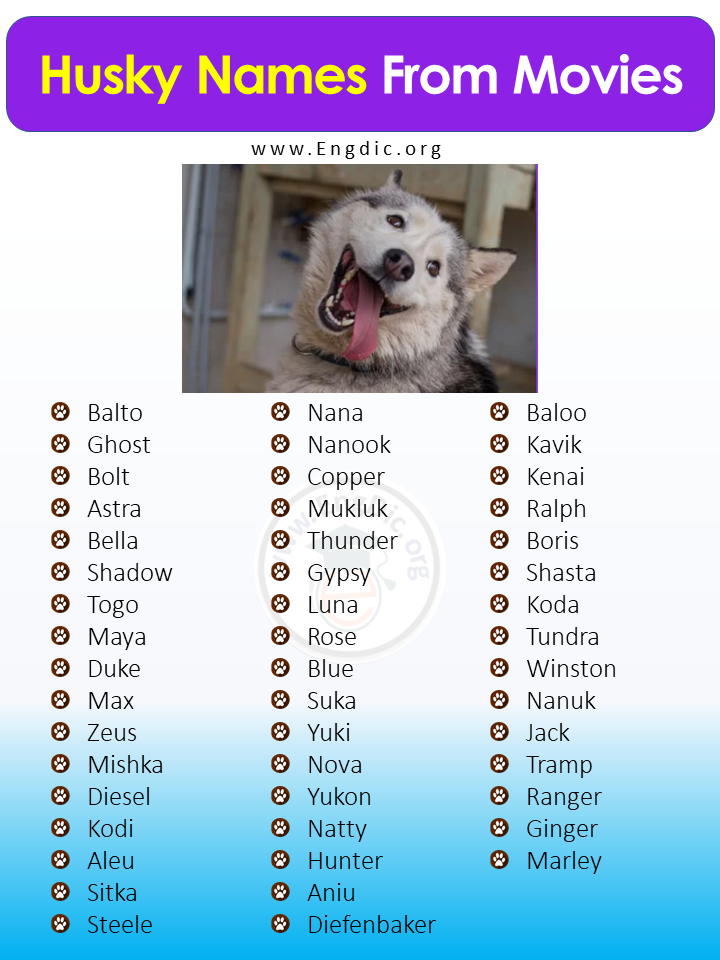 300 Best Husky Names Male Female Unique Exotic EngDic