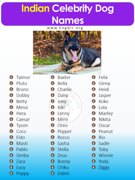 400+ Cute Indian Dog Names (Male, Female, Pups) - EngDic