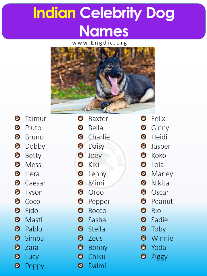 Indian Celebrity Dog Names