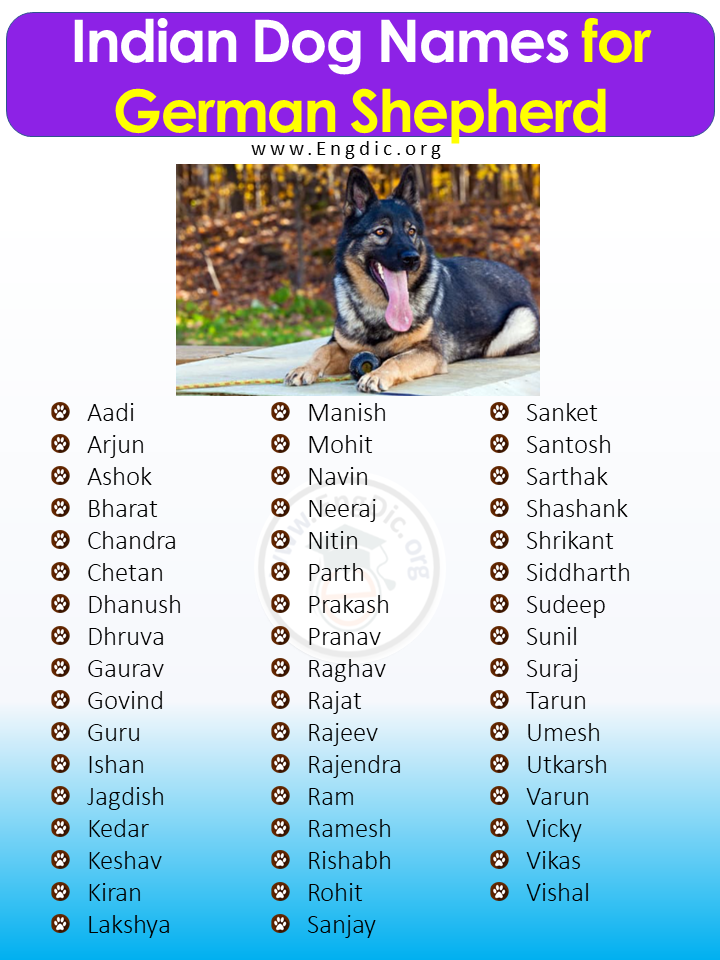 Indian Dog Names for German Shepherd
