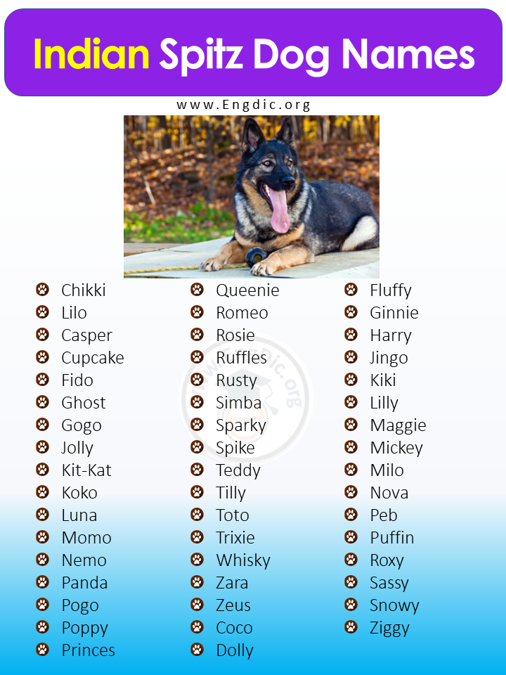 Female Native American Dog Names Sale Online Dakora co