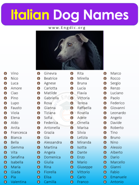 Strong Italian Dog Names Male