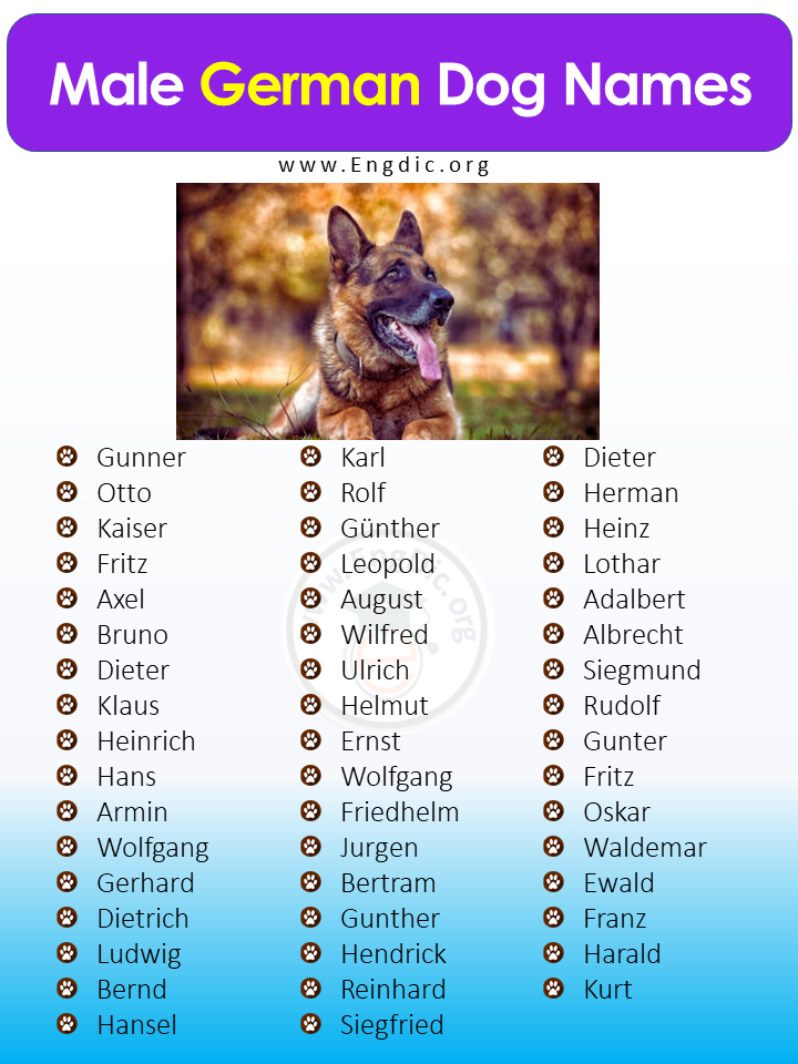 Male German Dog Names