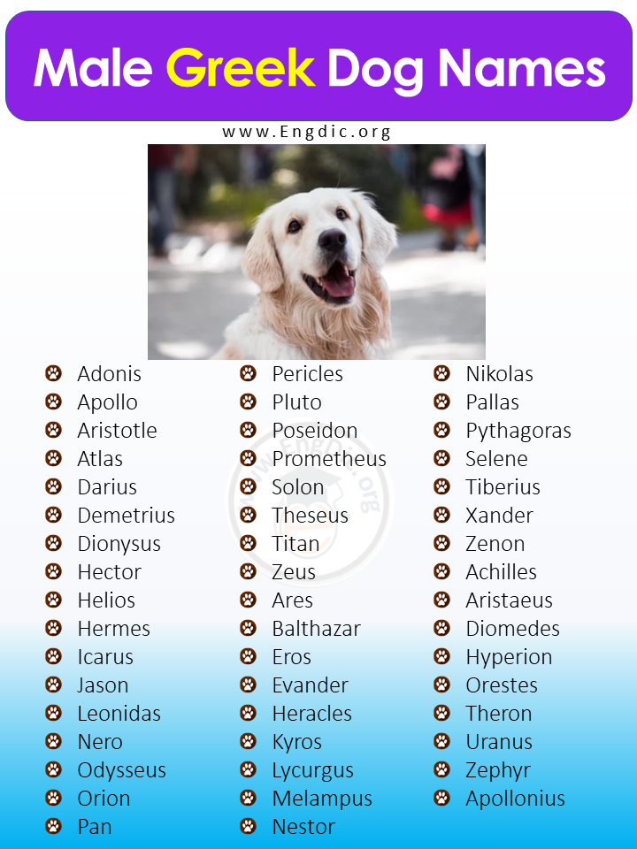 300 Greek Dog Names Pups Male Female EngDic