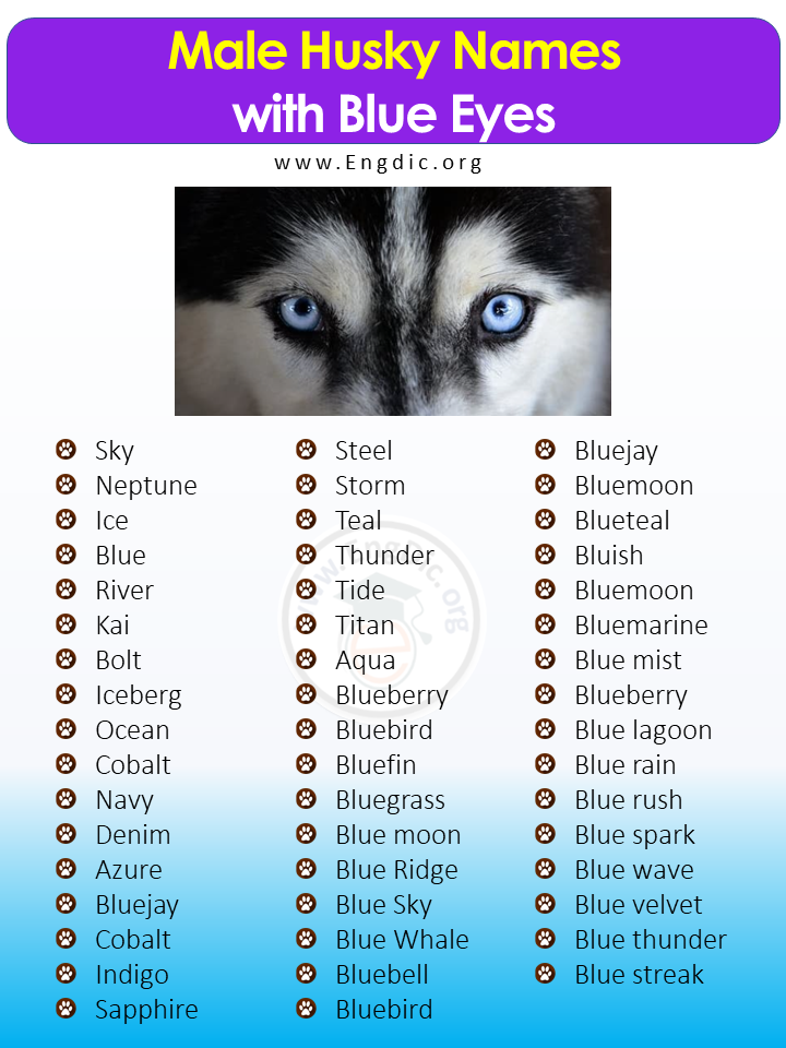Male Husky Names with blue eyes