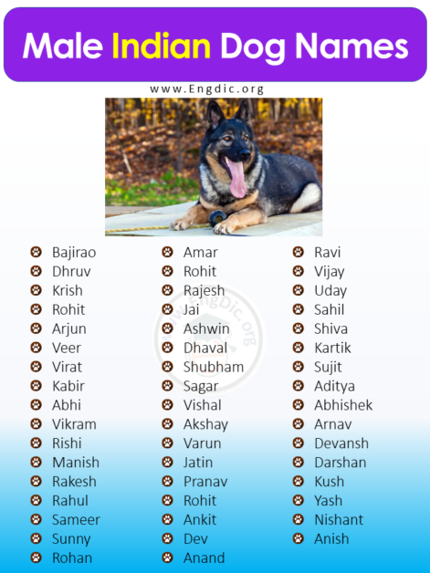 400-cute-indian-dog-names-male-female-pups-engdic