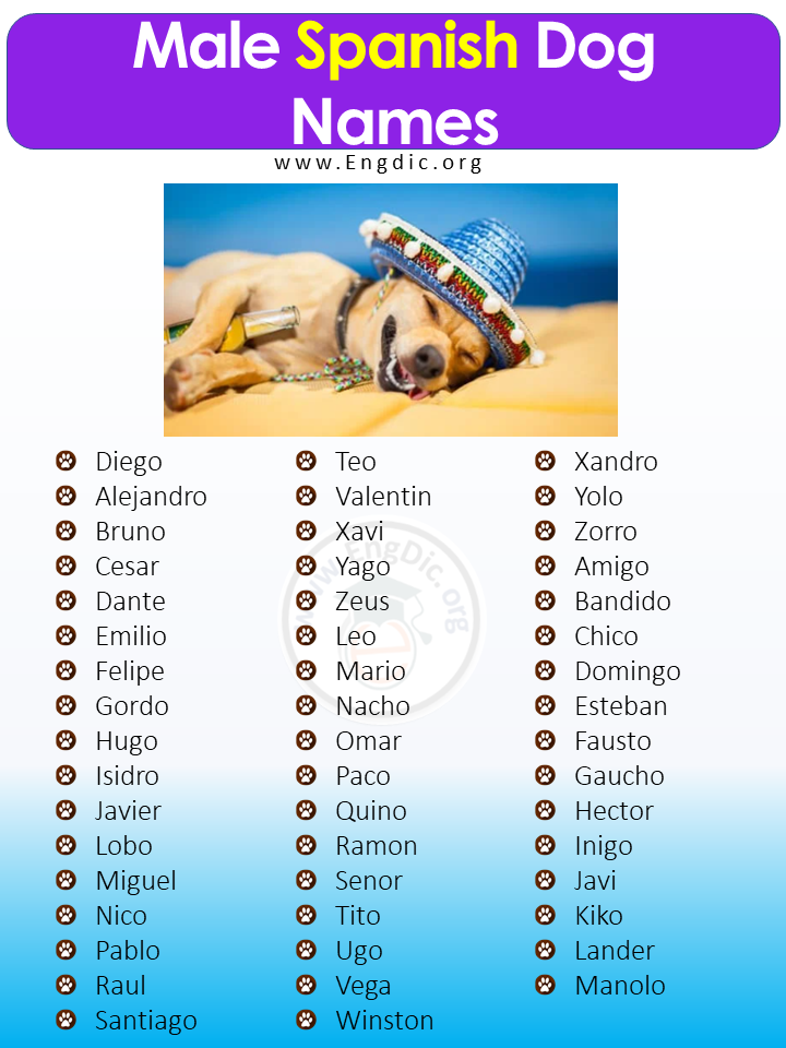 Male Spanish Dog Names