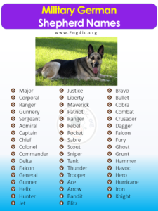 300+ Female German Shepherd Names (Most Popular) – EngDic