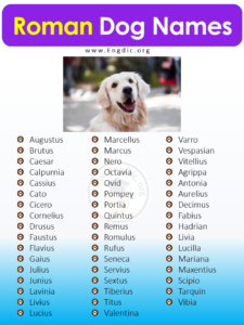 300+ Greek Dog Names (Pups, Male, Female) - EngDic