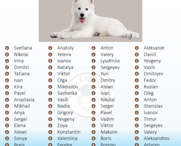 300+ Most Popular Russian Dog Names (Male, Female)