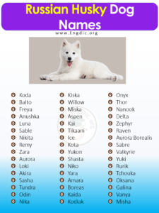 300+ Most Popular Russian Dog Names (Male, Female) - EngDic