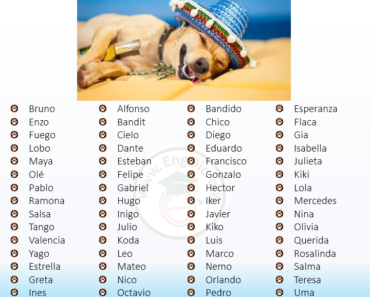 200+ Most Popular Spanish Dog Names (Male, Female)