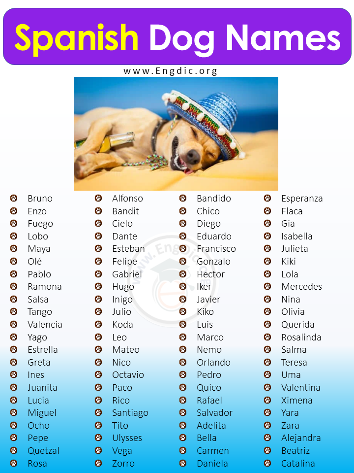 200 Most Popular Spanish Dog Names Male Female EngDic