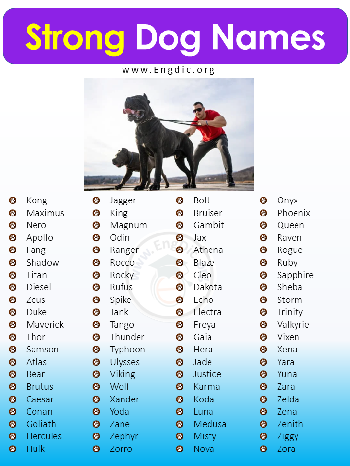 200 Tough Strong Dog Names Male Female EngDic