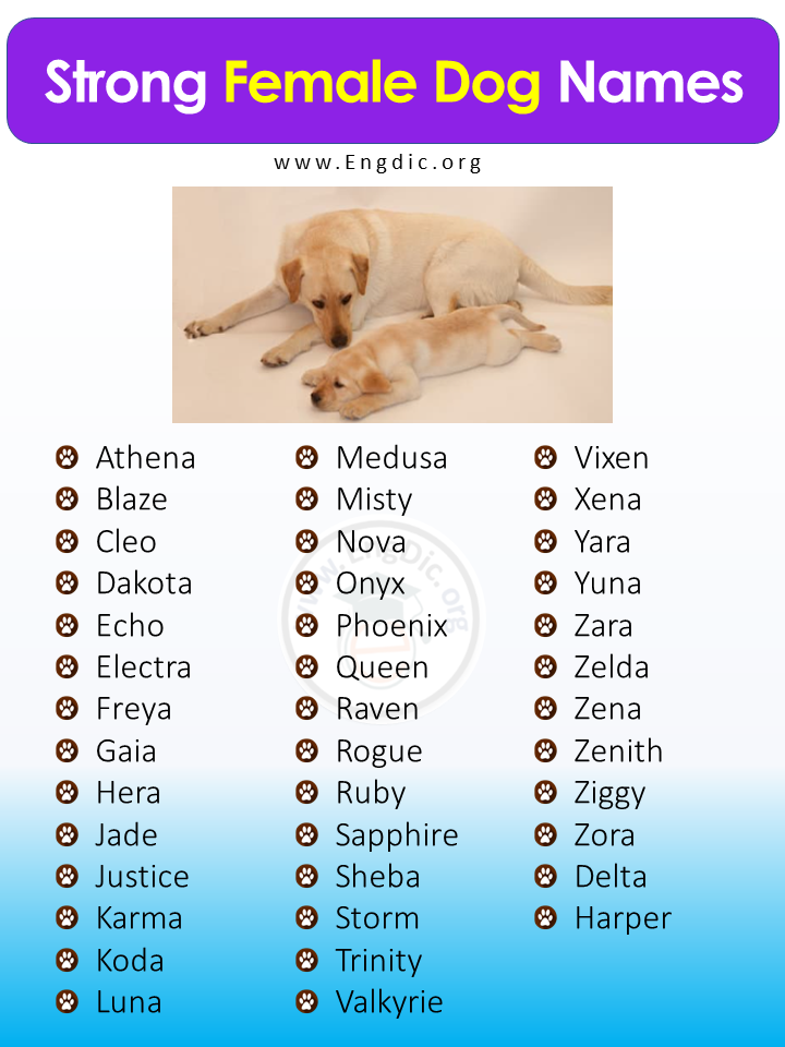Tough Female Dog Names Online Cityofclovis