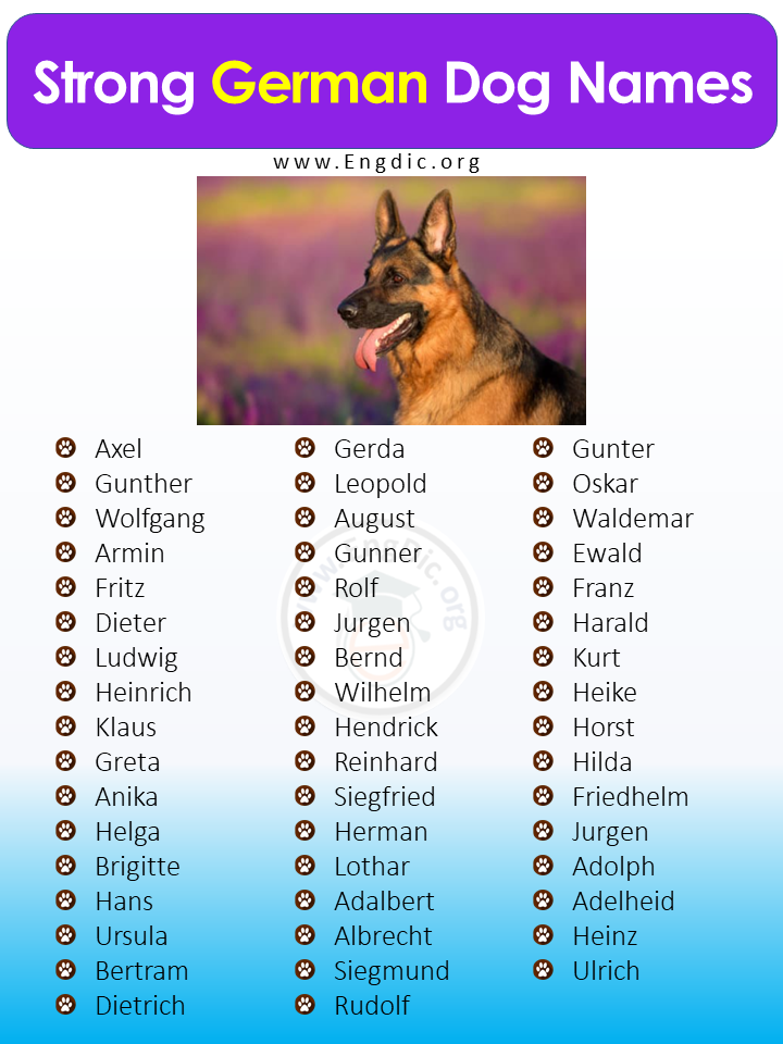 Strong German Dog Names