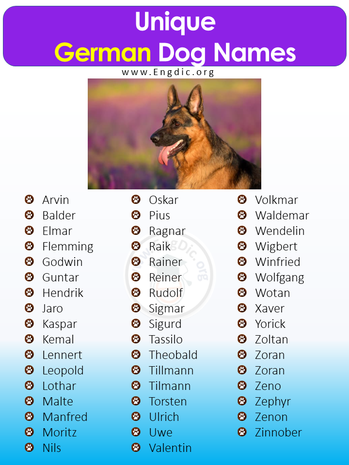 Unique German Dog Names