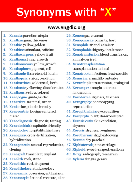 100 Synonyms That Start With X, Synonyms With X - EngDic