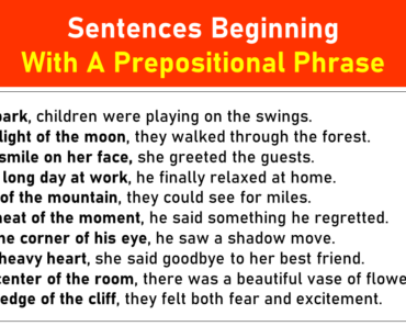 10 Examples of Sentences Beginning With A Prepositional Phrase