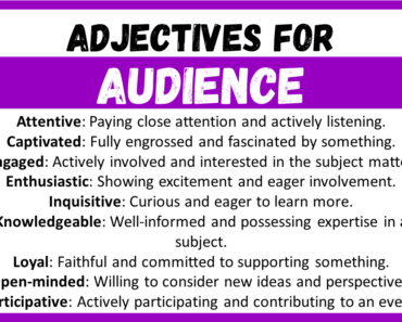 20+ Best Words to Describe Audience, Adjectives for Audience