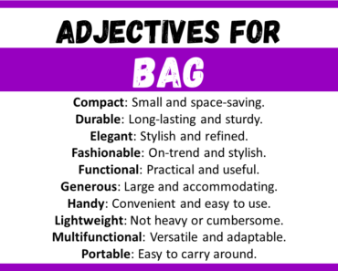 20+ Best Words to Describe Bag, Adjectives for Bag