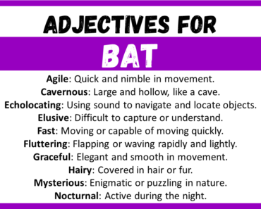 20+ Best Words to Describe Bat, Adjectives for Bat