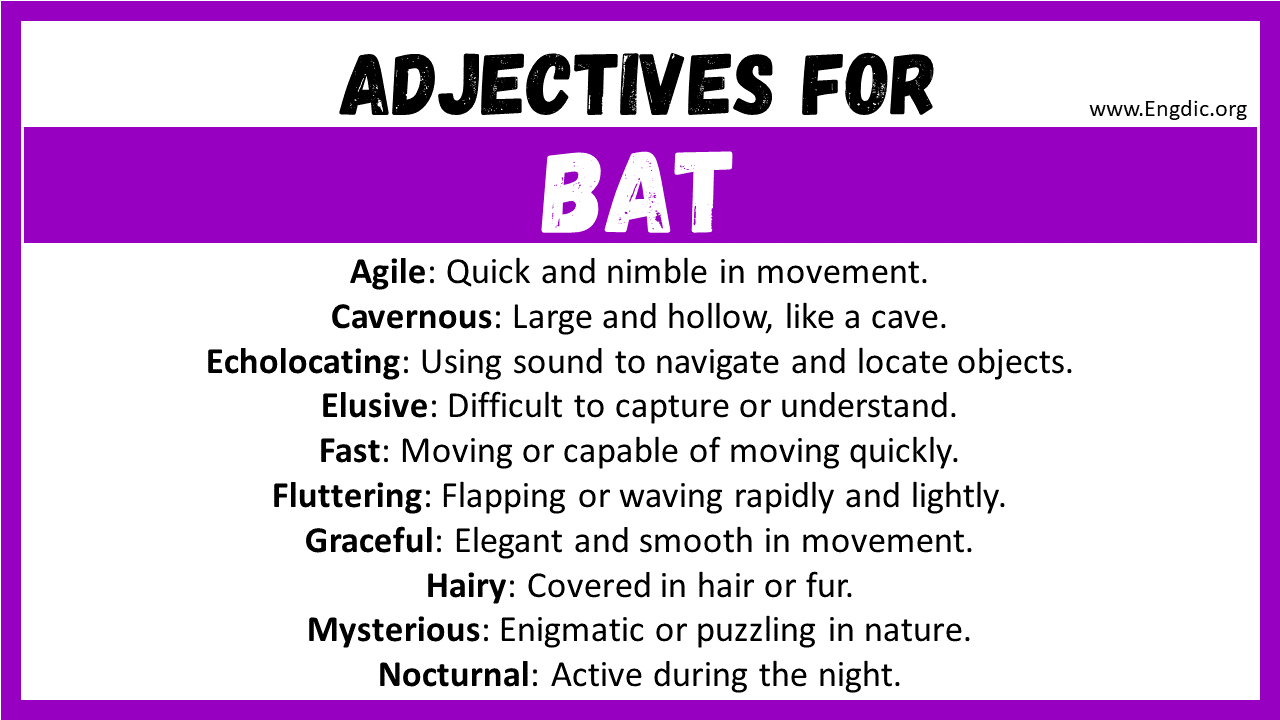 Adjectives for Bat