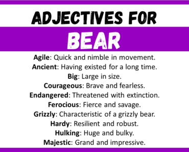 20+ Best Words to Describe Bear, Adjectives for Bear