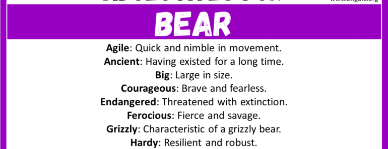 20+ Best Words to Describe Bear, Adjectives for Bear