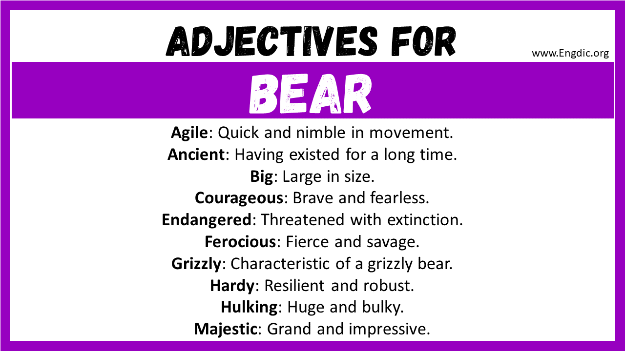 Adjectives for Bear