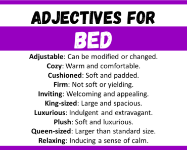 20+ Best Words to Describe Bed, Adjectives for Bed