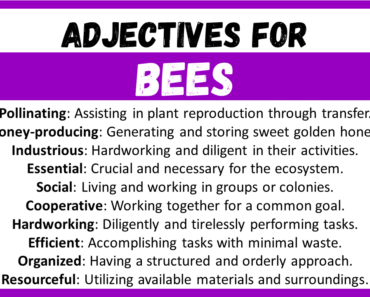 20+ Best Words to Describe Bees, Adjectives for Bees