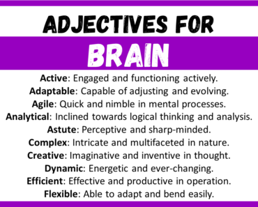 20+ Best Words to Describe Brain, Adjectives for Brain