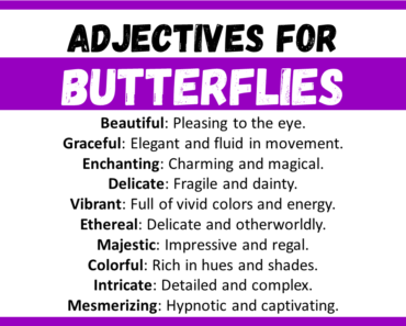 20+ Best Words to Describe Butterflies, Adjectives for Butterflies