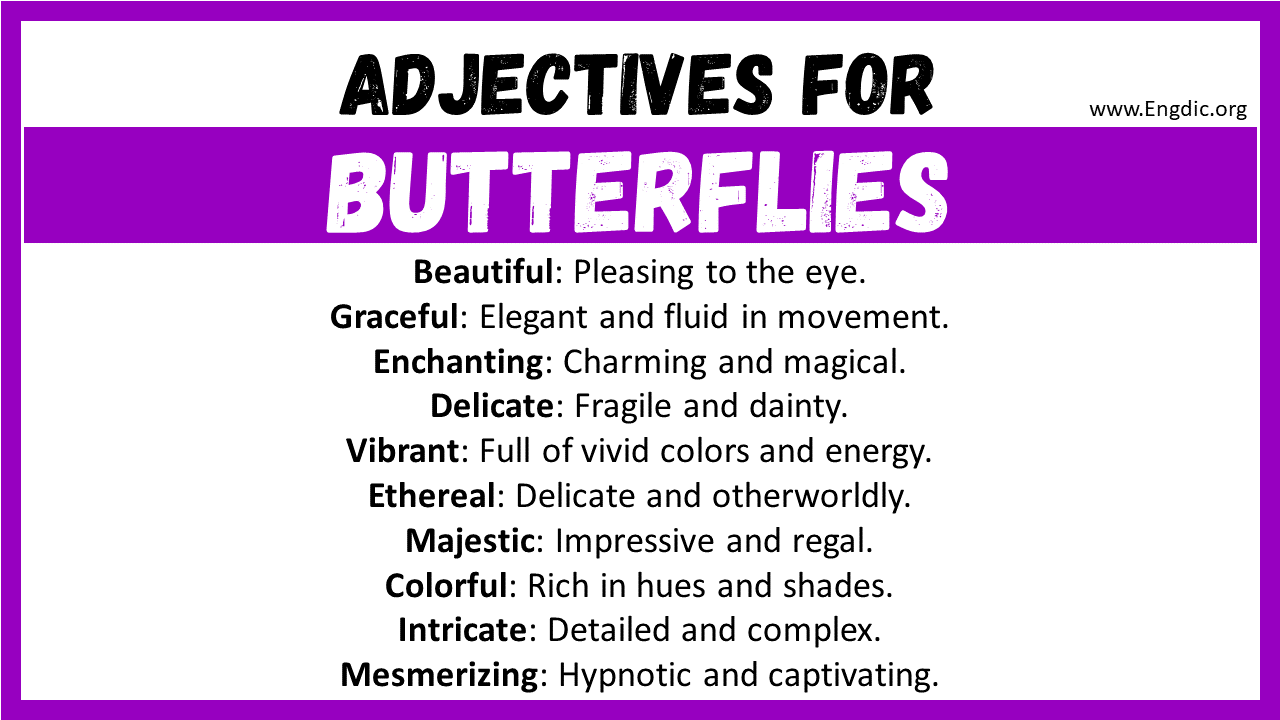 Adjectives for Butterflies